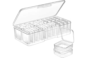 DUOFIRE 20 Pieces Bead Organizer Box Bead Storage Container Clear Plastic Small Storage Containers with Lids for Indigenous B