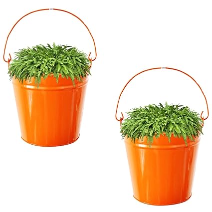Ascent Homes Metal Pail Bucket Galvanized Hanging Planter (Height 23 cm, Orange)