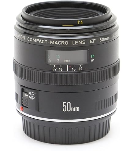 Amazon.com : Canon EF-S 60mm f/2.8 Macro USM Fixed Lens for Canon