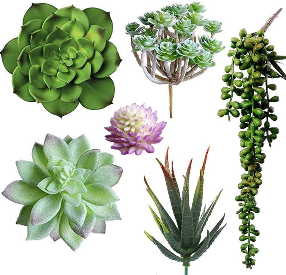HOONAO6 Pcs Artificial Succulents Different Kinds Assorted Faux Succulent Plants Unpotted for Floral Arrangement Home Decoration for Indoors