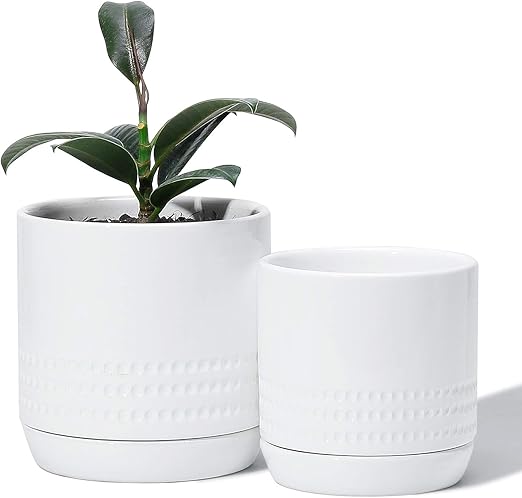 indoor ceramic planters with drainage