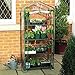 Blissun 4 Tier Mini Greenhouse, 27