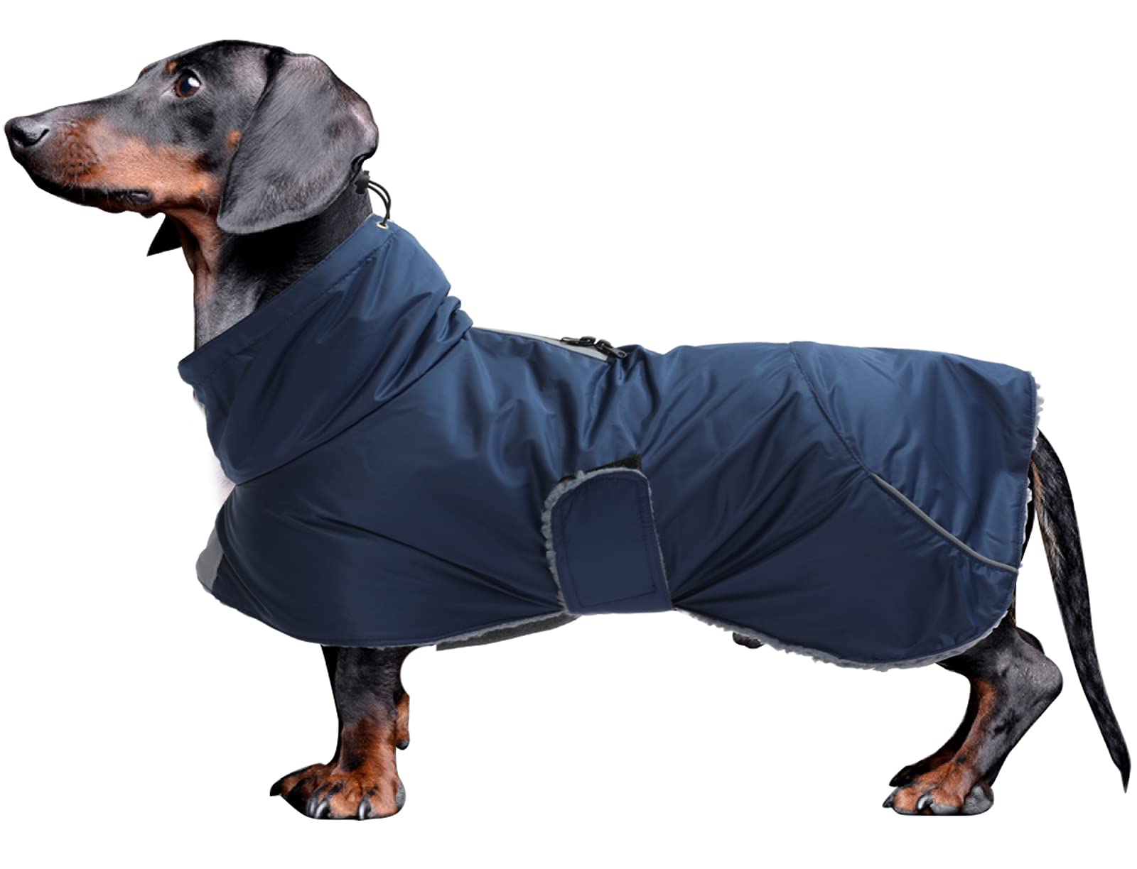 Dachshund Coats Waterproof, Perfect for Dachshunds, Sausage, Weiner Dog Winter Coat with Padded Fleece, Puppy Snowsuit with Adjustable Bands and High Vis Reflective Trim - Navy - L