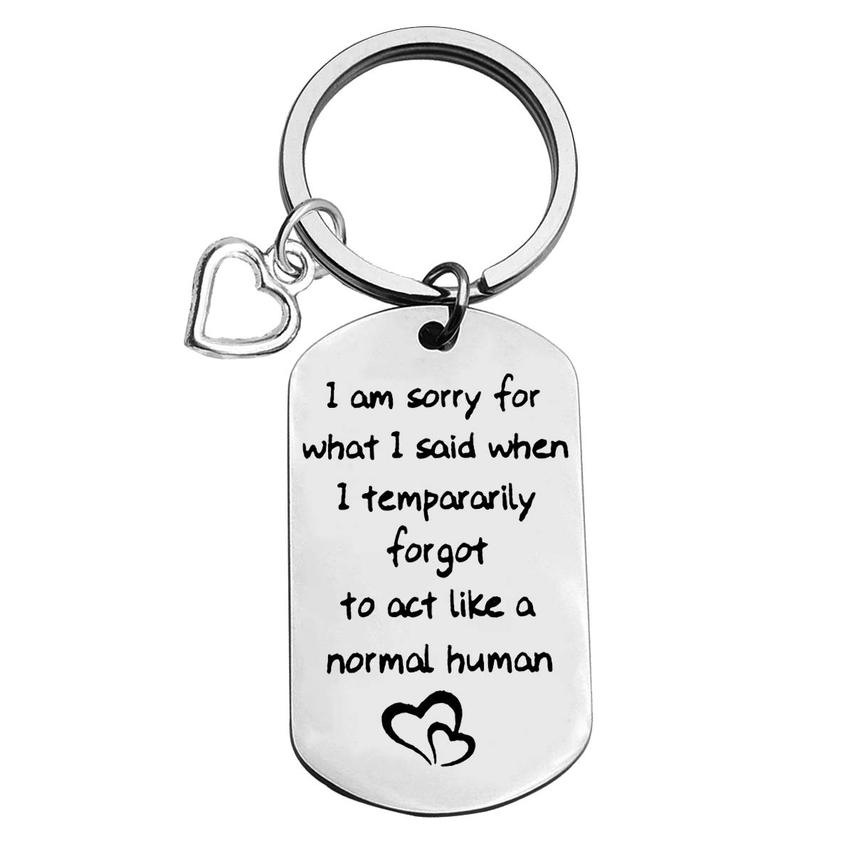 Huwujiu Apology Gifts Keyring Sorry Gifts I Am Sorry for What I Said When I Tempararily Forgot to Act Like a Normal Human Keyring Apology Gift for Mum Family Sorry Gift for Him Her Friends