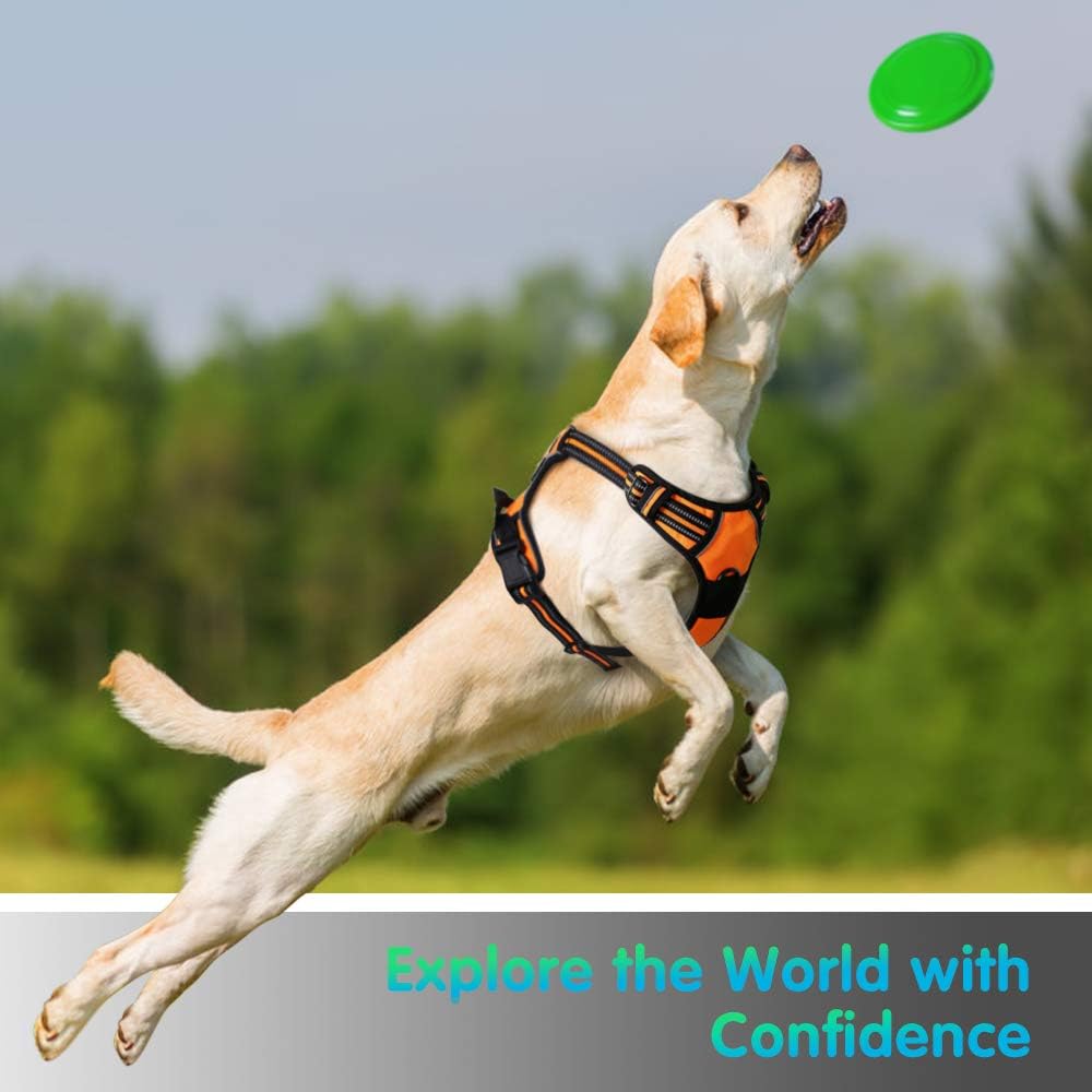 Eagloo Dog Harness No Pull, Walking Pet Harness with 2 Metal Rings and Handle Adjustable Reflective Breathable Oxford Soft Vest Easy Control Front Clip Harness Outdoor for Large Dogs Orange : Pet Supplies
