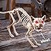 Collections Etc Scary Sound-Activated Skeleton Cat Halloween Decoration