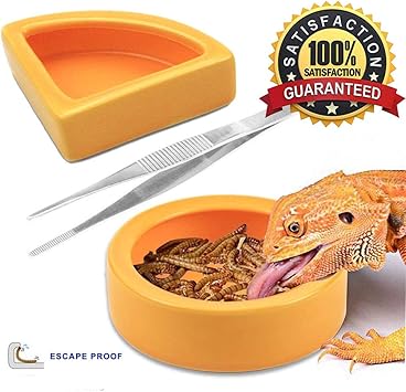 Amazon 3パック 爬虫類食品水皿ワームボウルミルワームフィードフィーダーミニ爬虫類食品ボウルセラミックス製 Petbacoo 飼育ケース ケージ 通販