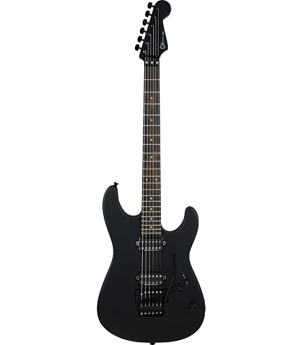 Amazon.com: Charvel ProMod DK24 HH 2PT EB 6-String Right-Handed