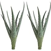 COTSEN 2 Pcs Large Artificial Succulents Artificial Aloe Plant Fake Succulents Artificial Succulents unpotted Used for Garden Office Home Indoor Outdoor Decoration