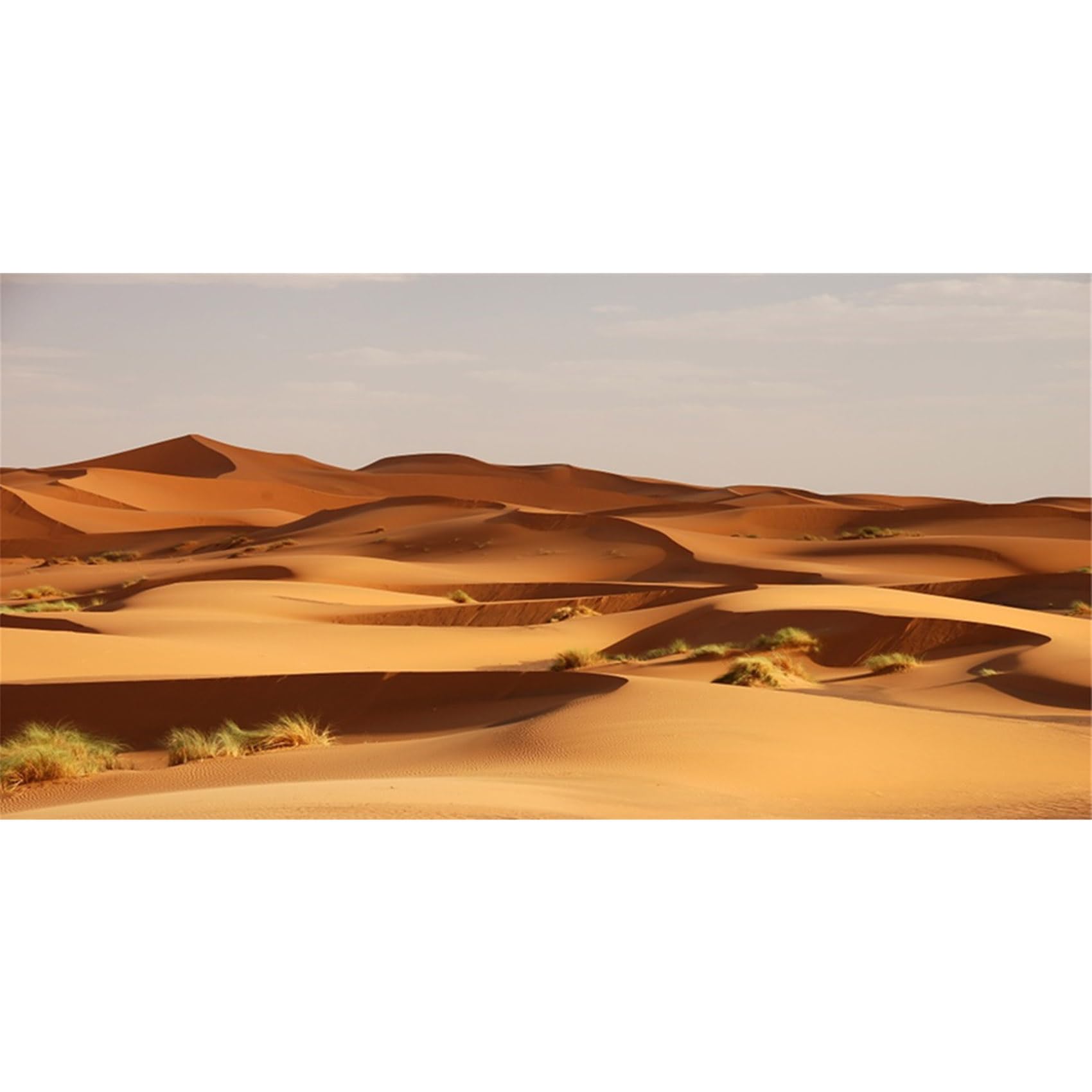 MIRRORANG 120x46cm Terrarium Background Orange Desert Reptile Habitat Background Durable Vinyl Background