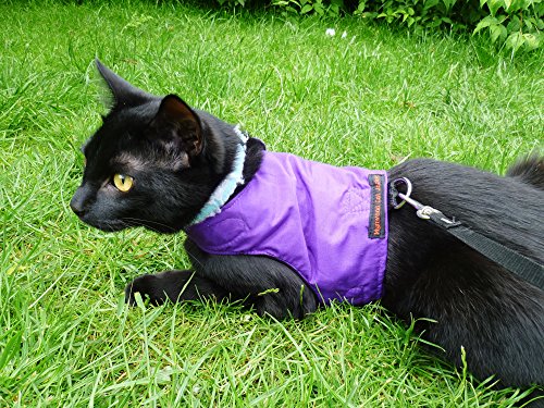 Mynwood Cat Jacket/Harness Purple Kitten up to 8month