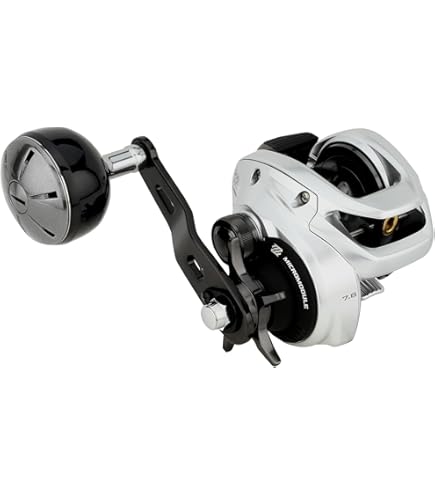 Amazon.com: Shimano Tranx