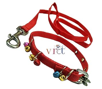 Puppy belt price Clearance