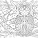 Believe Adult Coloring Book (31 stress-relieving designs) (Studio: Artists' Coloring Books)
