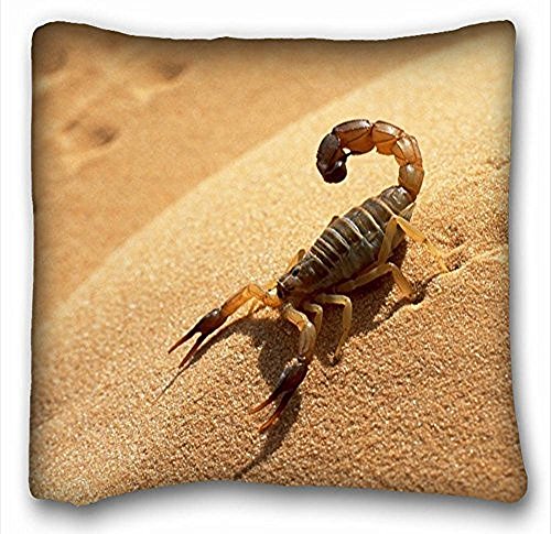 My Honey Pillow Pillow Cover Desert Scorpion 18 in18 Twin Sides