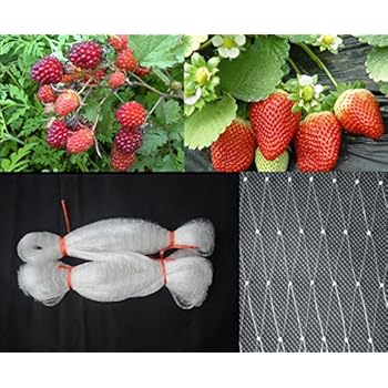 Amazon.com : Gardeneer By Dalen Bird-X Protective Netting 14' x 14' (1