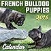 French Bulldog Puppies - 2018 Wall Calendar