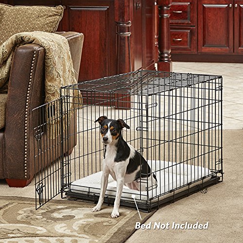 Medium Dog Crate | MidWest Life Stages 30" Folding Metal Dog Crate | Divider Panel, Floor Protecting Feet, Plastic Tray | 30L x 21W x 24H Inches, Medium Dog Breed