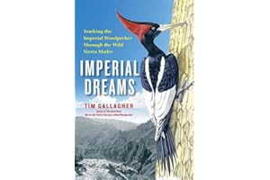 Imperial Dreams: Tracking the Imperial Woodpecker Through the Wild Sierra Madre