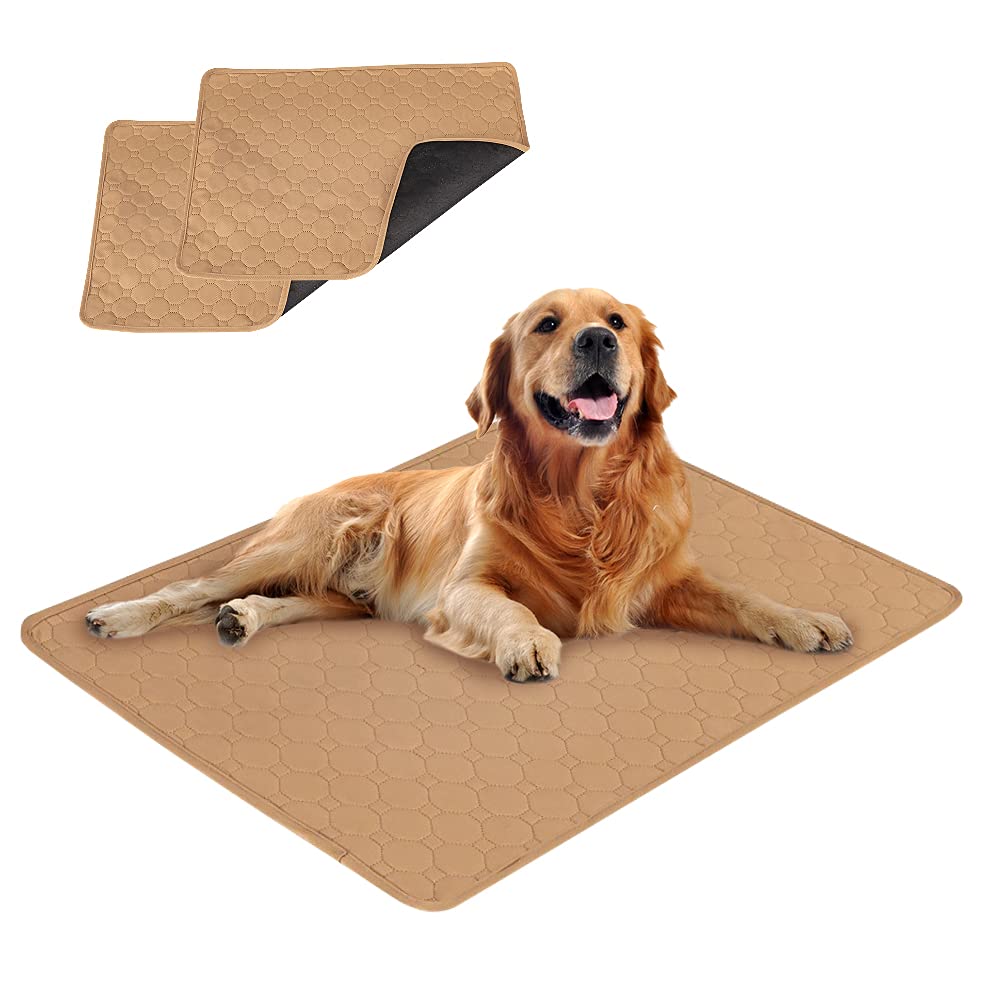 EASTLION Washable Dog Mat,Non-Slip Reusable Puppy Pads for Dogs,Super Absorbent Waterproof Dog Mat Pee Pads for Dogs for Indoor Outdoor Car Travel for Dogs,Cats(27.5x19.6 inch 2 PCS)M-Beige