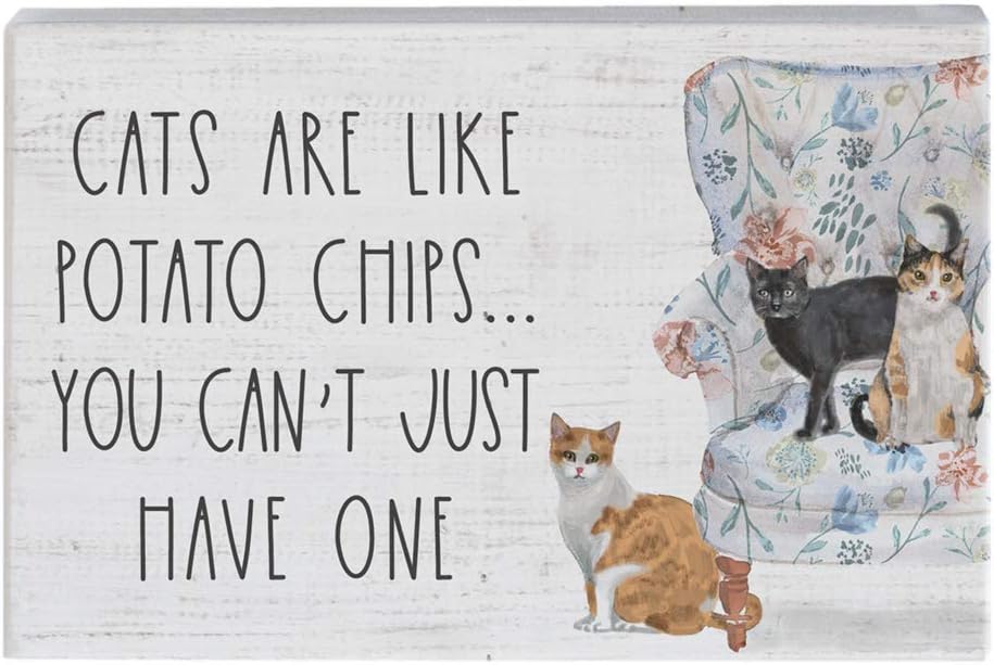 cats chips