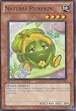 Yu-Gi-Oh! - Naturia Pumpkin (STBL-EN031) - Starstrike Blast - 1st Edition - Common