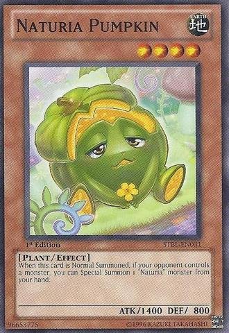 Yu-Gi-Oh! - Naturia Pumpkin (STBL-EN031) - Starstrike Blast - 1st Edition - Common