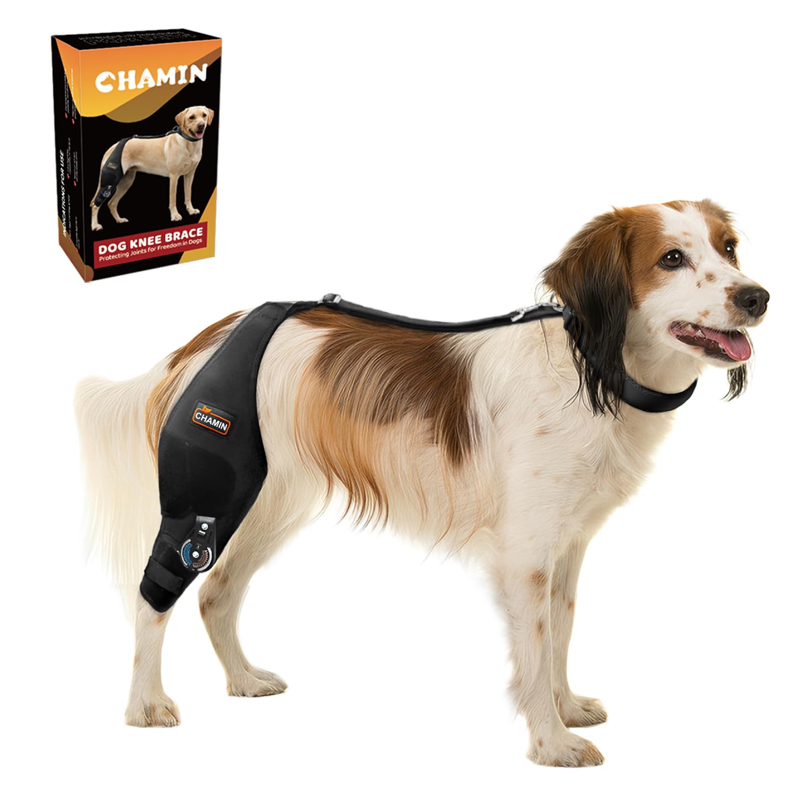 Photo 1 of CHAMIN Adjustable Dog Knee Brace for Torn ACL Hind Leg, Support for Tear Ligament, Osteoarthritis, Rear Leg Limp, Recovery After Surgery,et(Right Leg,L)
