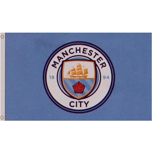 Amazon.com: Manchester City FC Retro Logo Sign (White, Metal