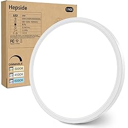 hepside 12Inch Flush Mount Light Fixture