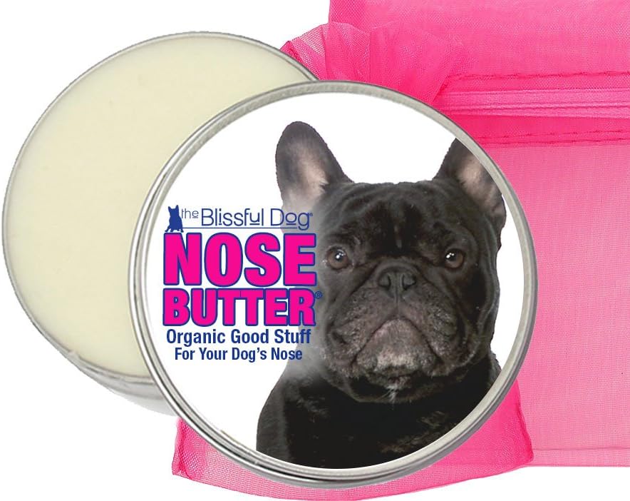 french bulldog crusty nose