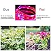 OUEVA Plant Grow LED Light, 16.4ft/5M 5050 SMD Waterproof Full Spectrum Red Blue 5:1 Growing Lamp for Aquarium Greenhouse Hydroponic Plant, Garden Flowers Veg Grow Light (No Power Adapter/Plug)