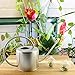 Darware Stainless Steel Watering Can — 1.3 Quart / 44oz / 1300 ml Capacity Brushed SS Watering Pot, Long Spout & Elegant Curved Handle