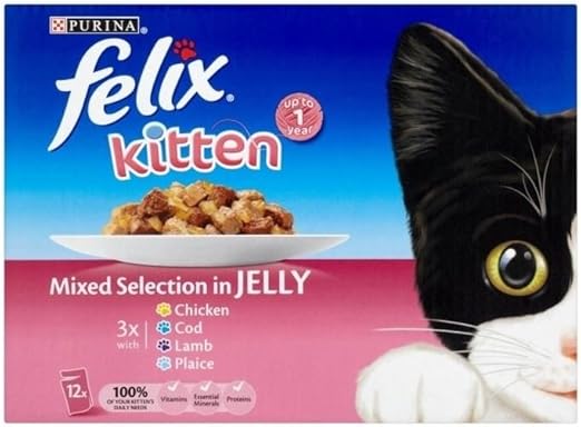 felix kitten food