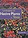 Landscaping with Native Plants of Texas by
