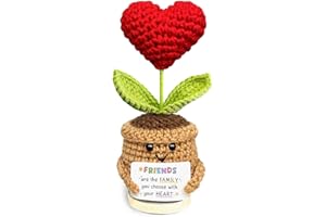 Tiny Detalles Cute Crochet Heart Flower, Friendship Cheer Up Gifts for Women on Birthday, Friends are The Family We Choose Positive Crochet, Appreciation Gifts for Coworkers, Friends, Men, Bestie