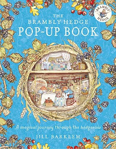 Amazon.com: Alice's Pop-up Theatre Book: 9780333961377: Nick