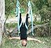 Agptek Aerial Yoga Supplies Swing Inversion Trapeze Series Yoga Class Accessories Like Yoga Straps and Sling Hammock (Blue)