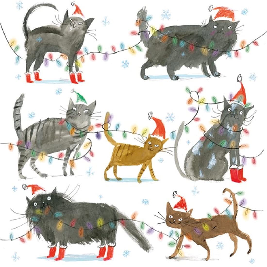 Santa Claws Pack of 5 Christmas Cards and Envelopes