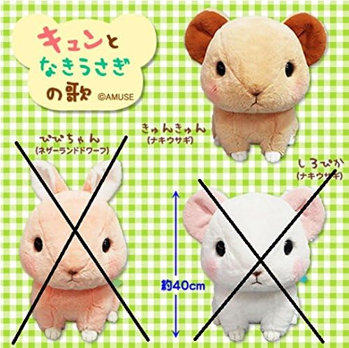 Amazon Co Jp キュンとなきうさぎの歌 Big ぬいぐるみ きゅんきゅん ナキウサギ 単品 ホビー 通販