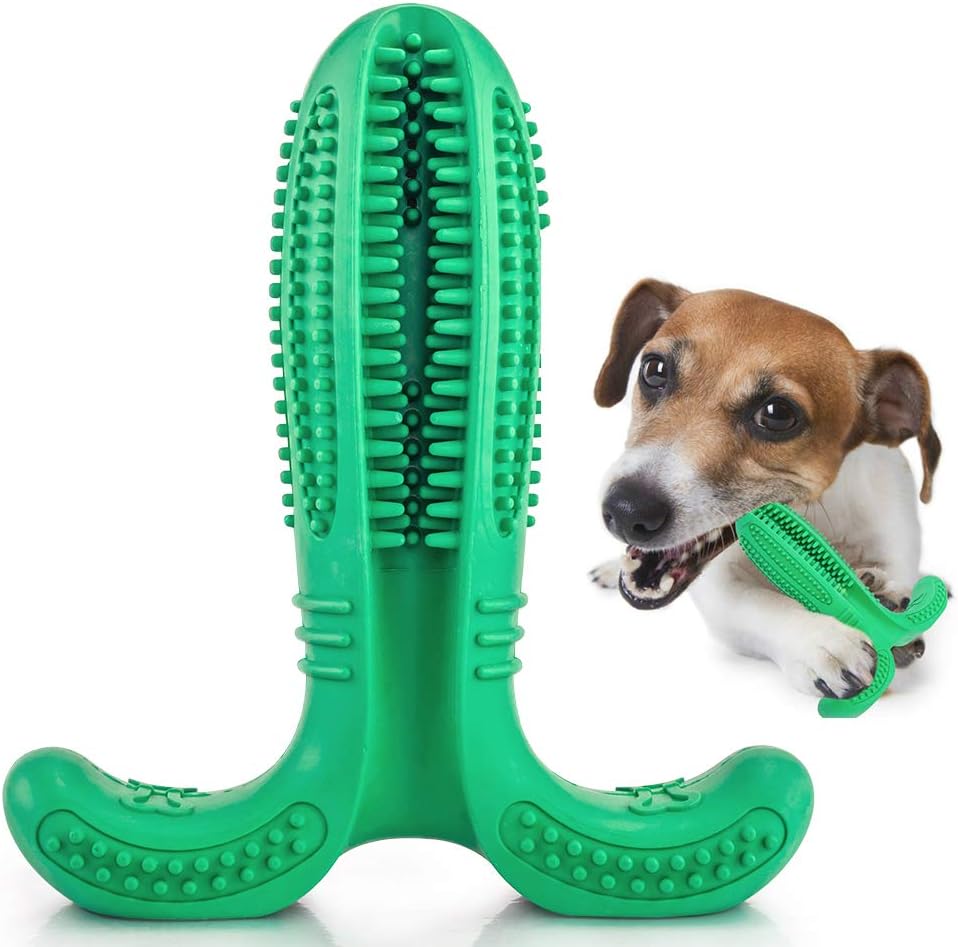 new dog toys