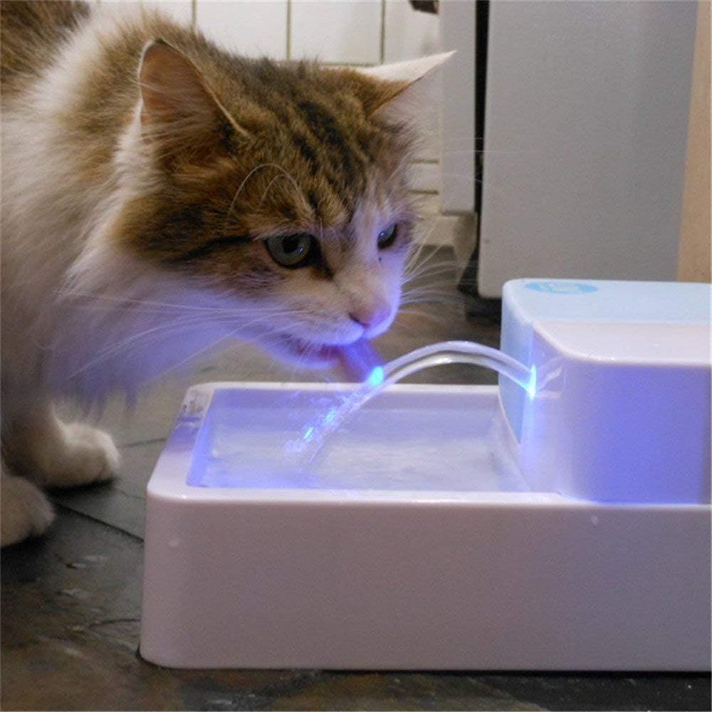 Galapara Haustier Trinkbrunnen Automatische Wasserspender, Katzen