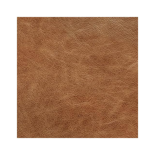 Amazon Brand Rivet Aiden MidCentury Modern Tufted Leather Loveseat