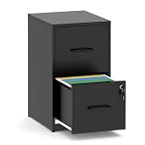 FLIXELIO 2 Drawer File Cabinet with Lock,Metal Vertical Filing Cabinets for Home Office,Heavy Duty File Storage Cabinet for Letter/Legal/A4/F4 Size File,Assembly Require (Black, Vertical 2 Drawer)