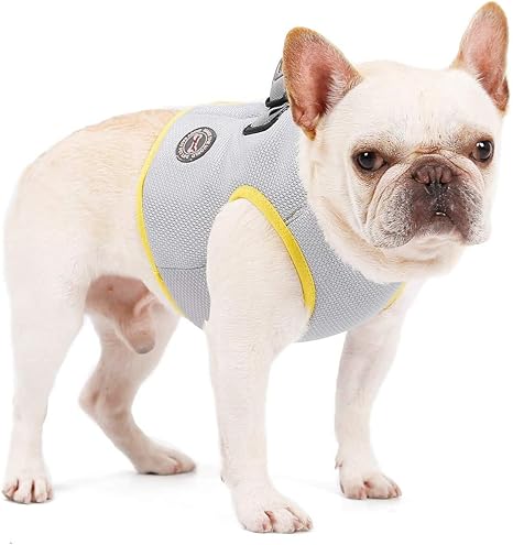 dog cooling jacket amazon