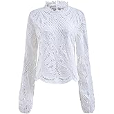 winkbay Women's Lace Embroidered Crop Tops Elegant Mock Neck Hollow Out Going Out Blouse