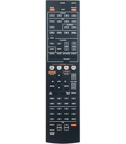 Amazon.com: Hotsmtbang Replacement Remote Control Compatible for