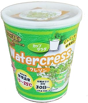 Amazon フォレスト カップサラダ クレソン おうちが菜園 種まきセット 栽培キット Diy 工具 ガーデン