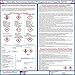 Globally Harmonized System Pictograms and Hazards (GHS) Poster - Laminated 18