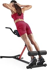 Sunny Health & Fitness Hyperextension Roman Chair with Dip Station Black view 1